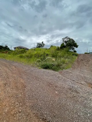 Terreno, foto 1