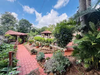 Casa com 3 dormitórios, foto 11