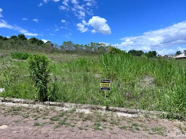 Terreno, foto 2