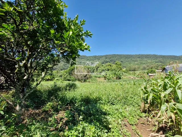 Terreno, foto 5