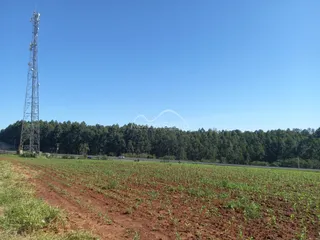 Vista de um campo de terra vermelha com vegetação densa ao fundo.