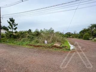 Terreno, foto 2