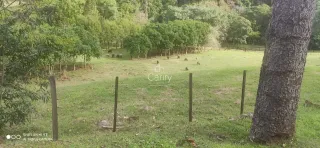 Área rural com 2 dormitórios, foto 6