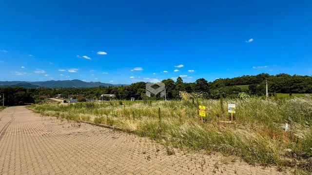 Paisagem de campo com vegetação e estrada no Brasil.