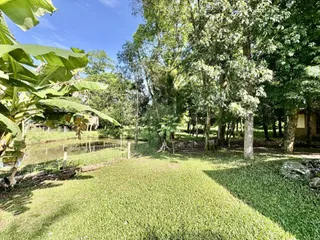 Área rural com 3 dormitórios, foto 23