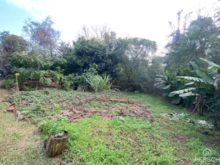 Casa, foto 6