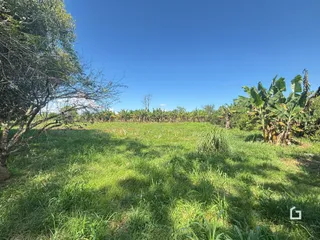 Área rural com 2 dormitórios, foto 22