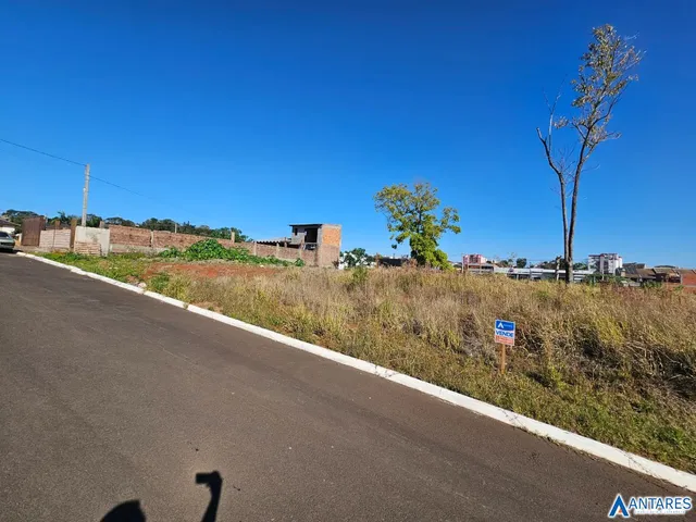 Terreno, foto 3