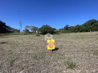 Vista aérea de um campo aberto com vegetação seca sob um céu azul.