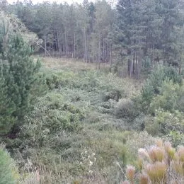 Área rural, foto 4