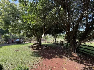 Paisagem externa de um terreno com árvores e gramado.