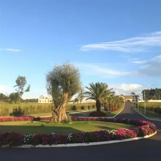 Terreno, foto 6