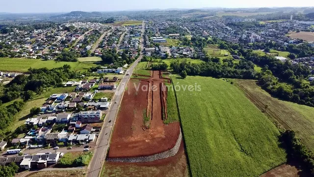 Terreno, foto 4