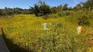 Casa geminada com 2 dormitórios, foto 13
