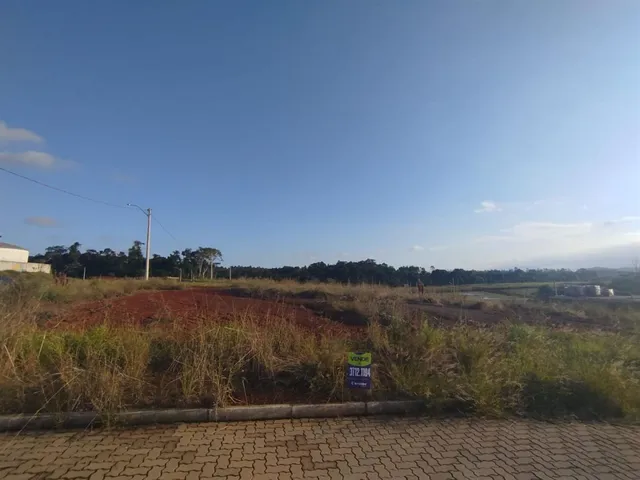 Terreno