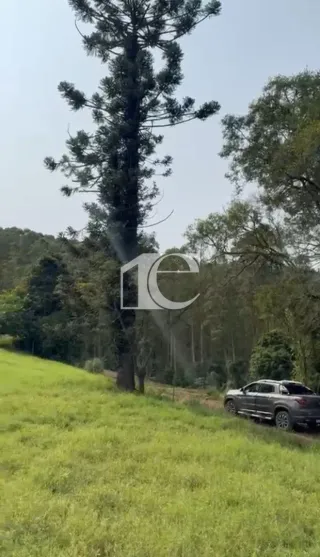 Área rural, foto 4