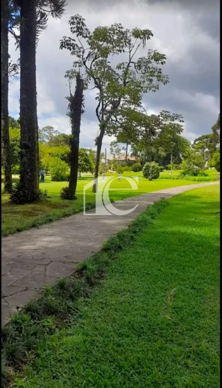 Casa com 3 dormitórios, foto 4