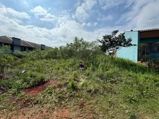 Terreno, foto 1