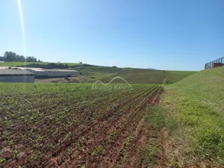 Área rural, foto 6