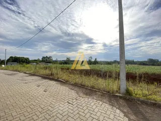 Terreno, foto 1
