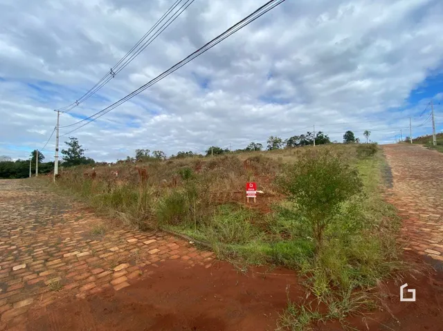 Vista externa de uma área de terra com vegetação ao longo de um caminho de tijolos.