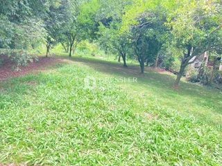 Terreno, foto 12