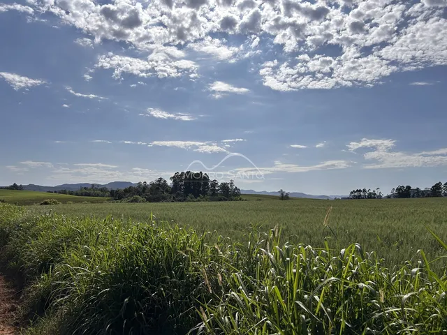Vista panorâmica de campos verdes e vegetação sob um céu nublado.