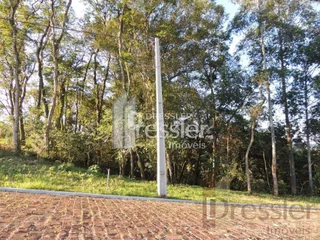 Terreno, foto 2