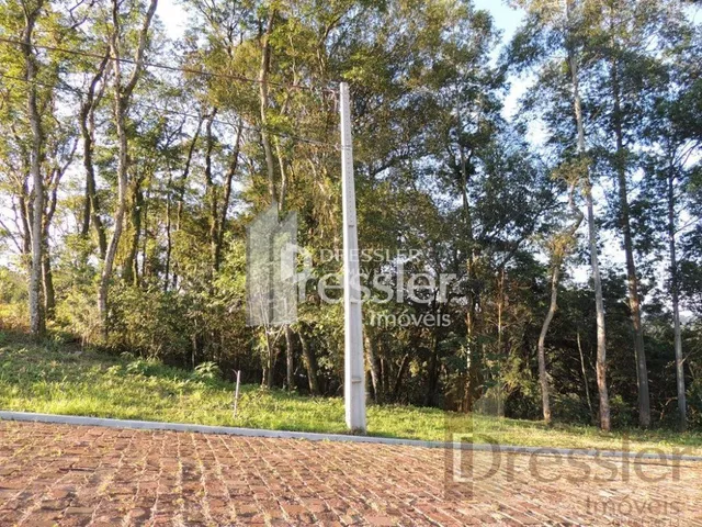 Terreno, foto 2