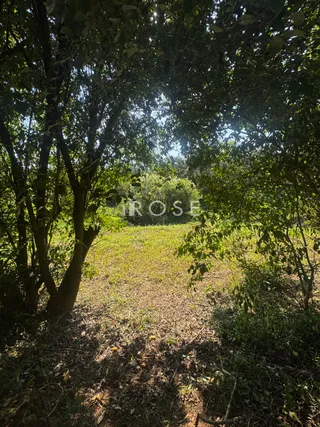 Área rural, foto 4