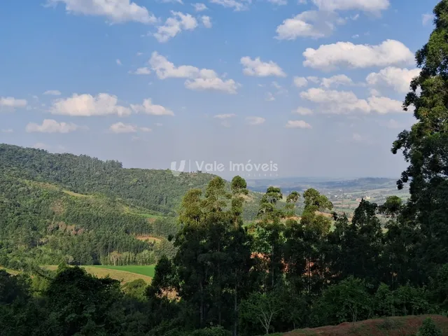 Área rural com 3 dormitórios, foto 4