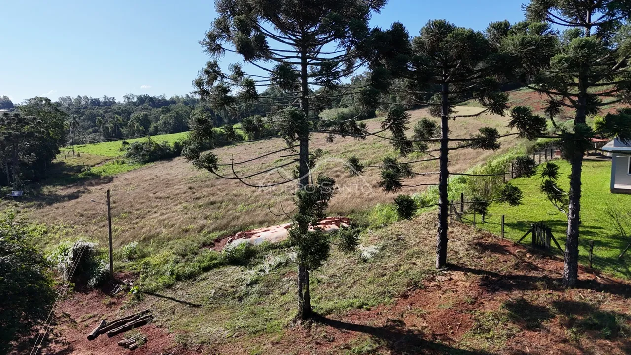 Área rural, foto 1
