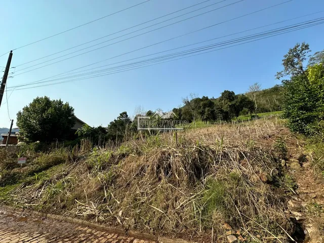 Terreno, foto 2