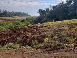 Paisagem de uma encosta seca com vegetação rasteira.