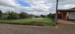 Terreno, foto 5