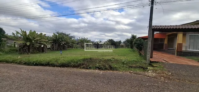 Terreno, foto 5
