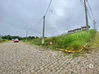 Terreno, foto 2