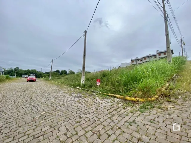 Terreno, foto 2