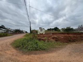 Vista da propriedade com vegetação e terra no primeiro plano.