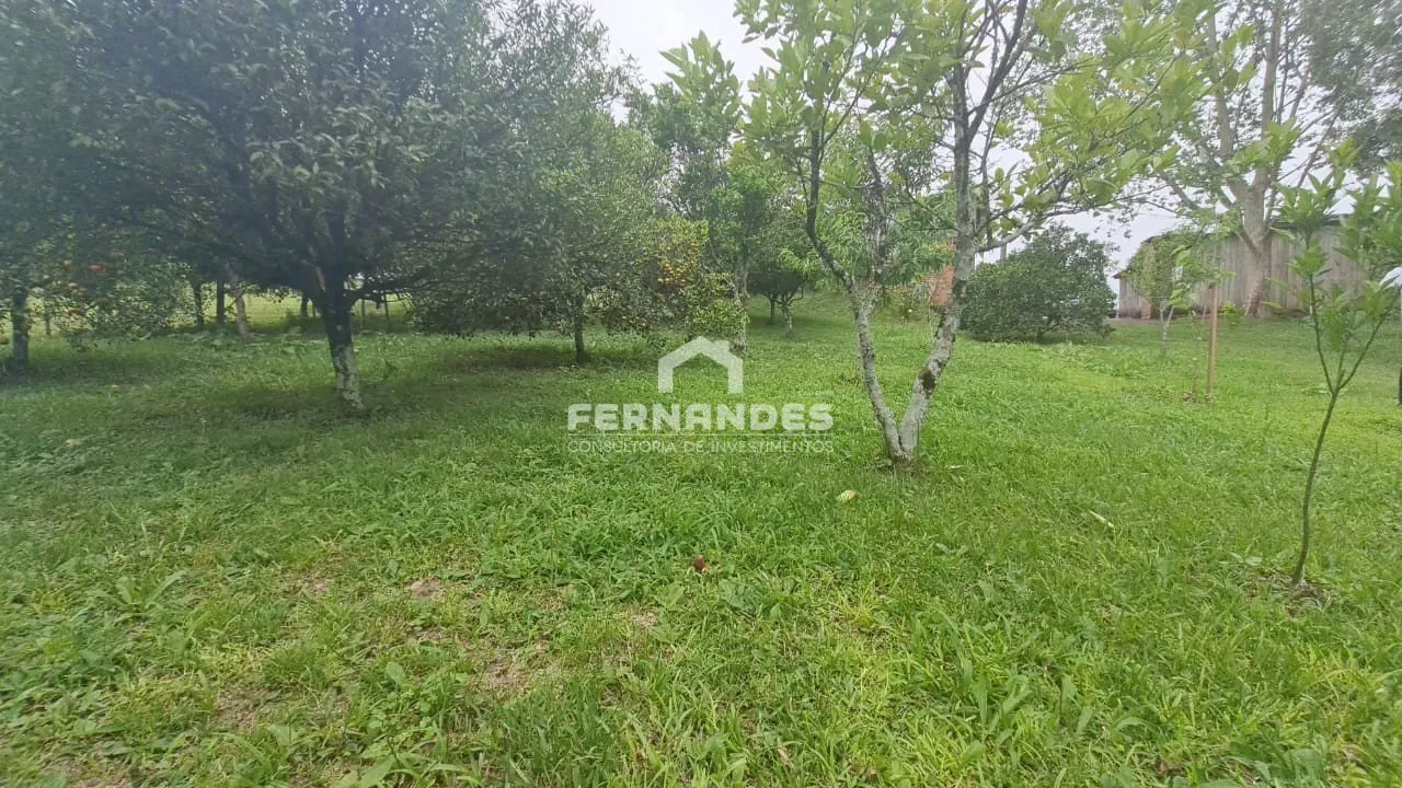 Área rural com 3 dormitórios, foto 1
