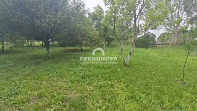 Área rural com 3 dormitórios
