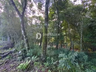 Área rural, foto 8