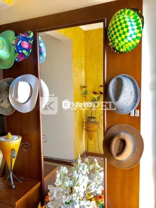 Hall de entrada com painel de madeira e decoração de parede.