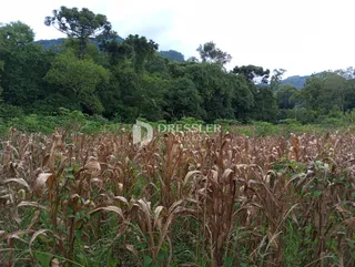 Área rural, foto 2