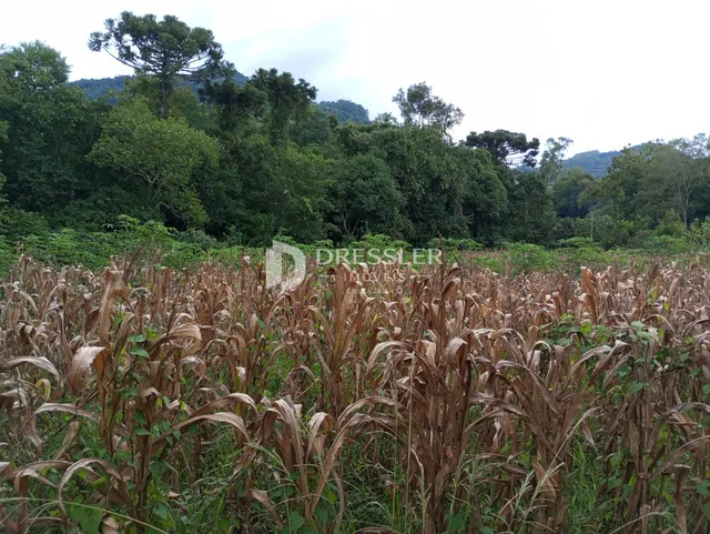 Área rural, foto 2