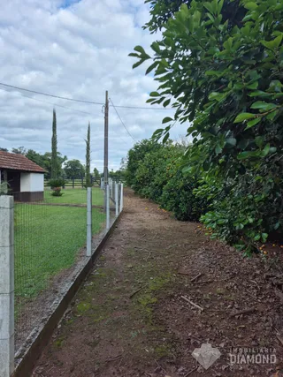 Área rural com 4 dormitórios, foto 24