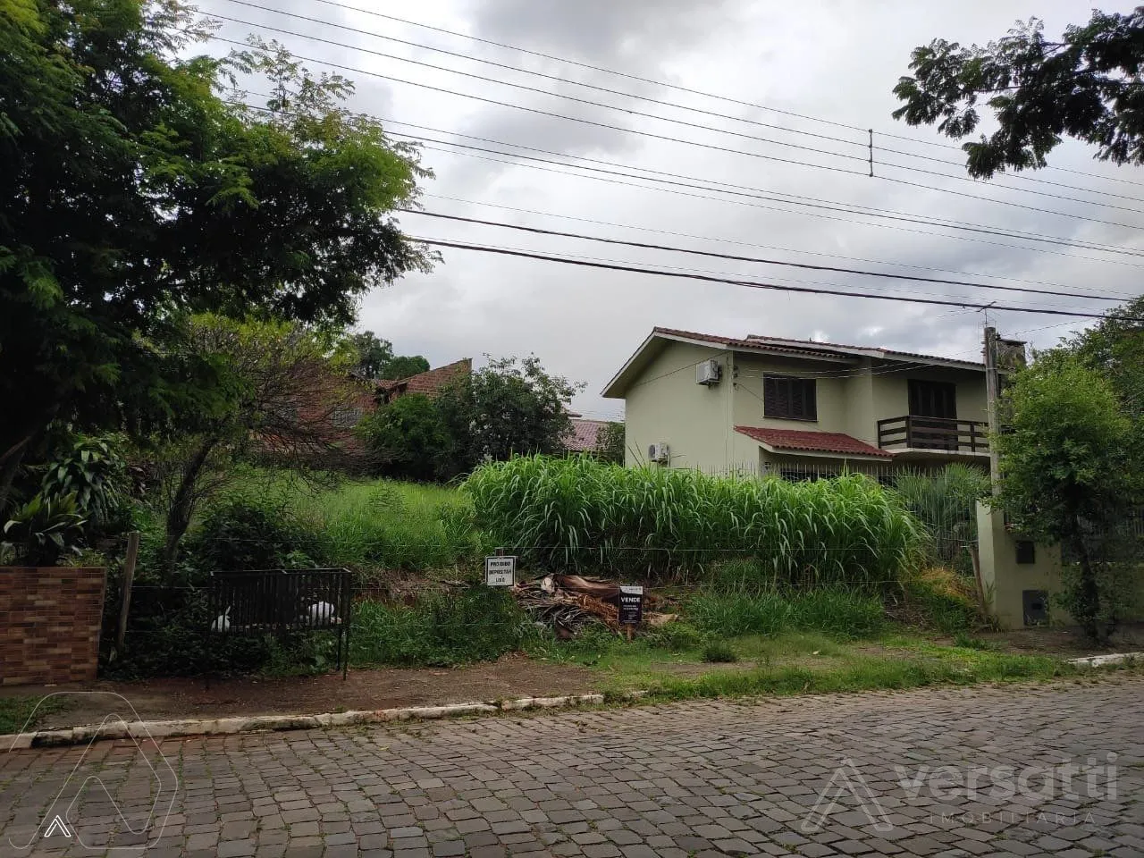Terreno, foto 1