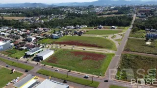 Terreno, foto 9