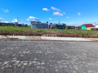 Terreno, foto 5