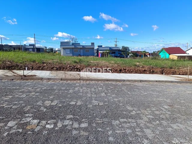 Terreno, foto 5
